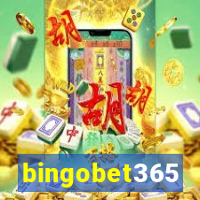 bingobet365